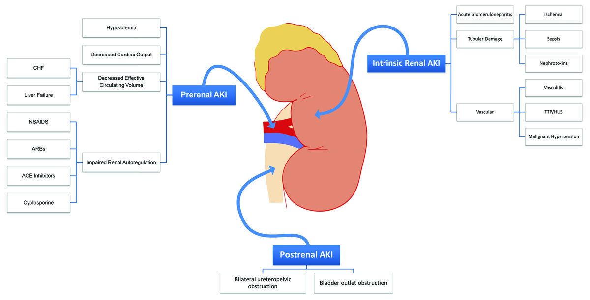 Aki Hayakawa in Inuyasha Explained to Clear Confusion
